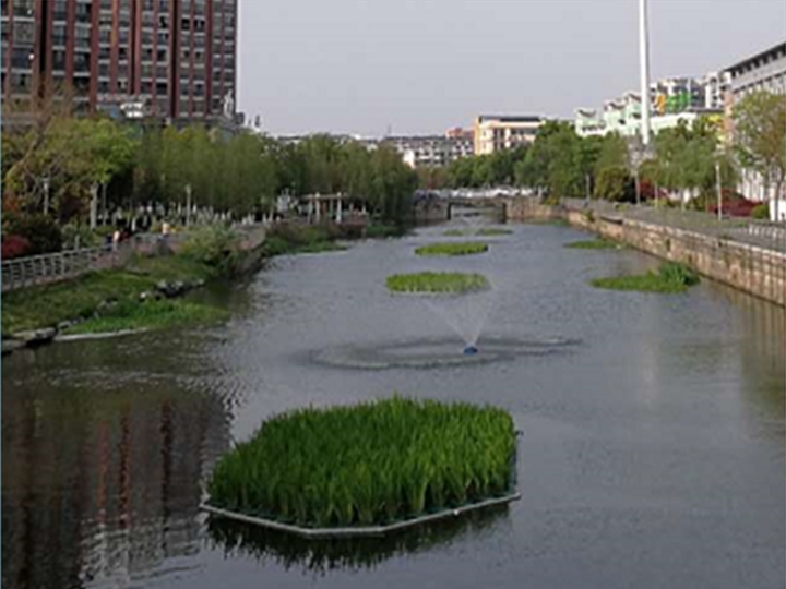 常州市薛家镇区域水环境综合整治项目